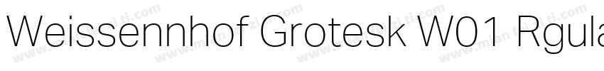 Weissennhof Grotesk W01 Rgular字体转换